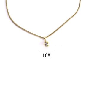 Ατσάλινο Κολιέ - ΧρυσόA3111