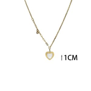 Ατσάλινο Κολιέ - ΧρυσόA2004A