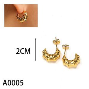 Ατσάλινα Σκουλαρίκια ΚαρφωτάA0005