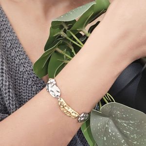 ΒΡΑΧΙΟΛΙA11001