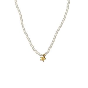 Ατσάλινο Κολιέ Με Πέρλα Kαι Κρεμαστό ΑστεράκιA11027