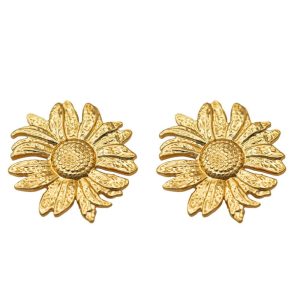 Ατσάλινα Σκουλαρίκια ΚαρφωτάA1154