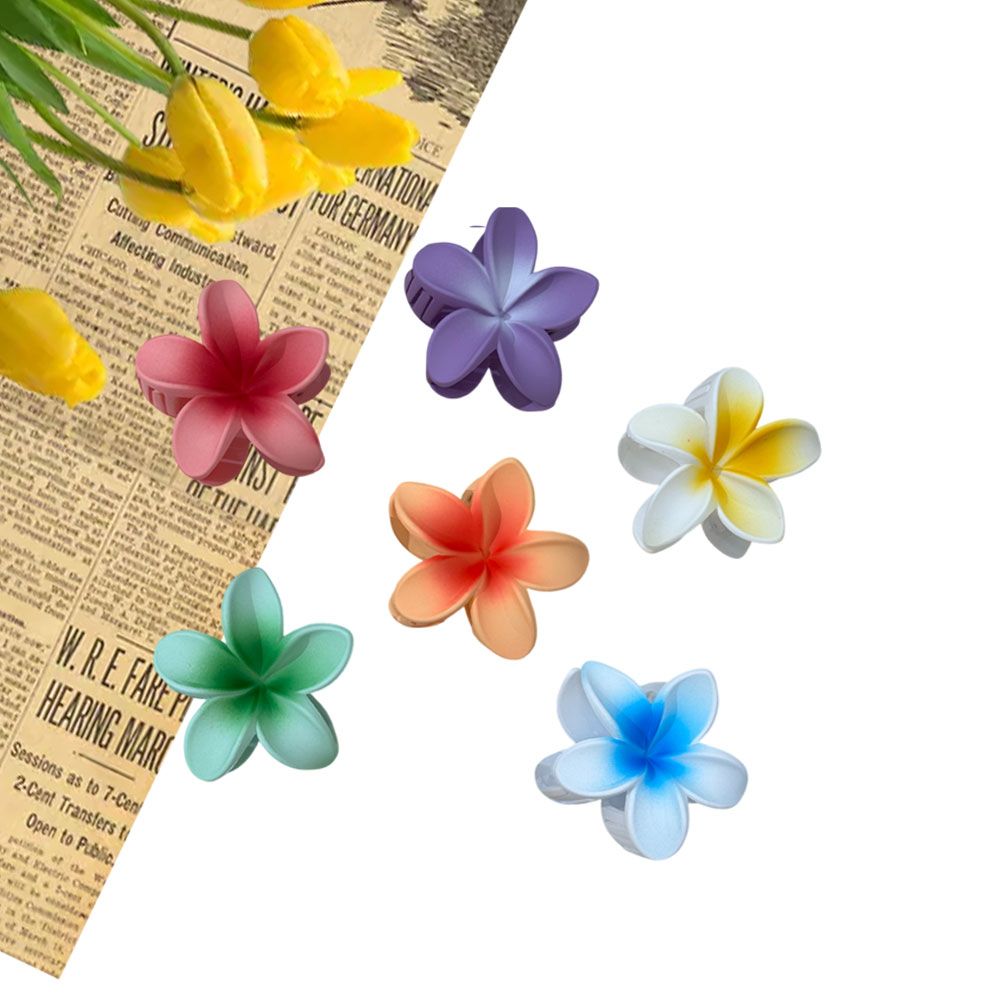 Σετ Κλαμεράκια Μαλλιών Λουλούδι Πολύχρωμο 12 Τεμαχίων Σετ Κλαμεράκια Μαλλιών Λουλούδι Πολύχρωμο 12 ΤεμαχίωνA16024