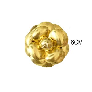 Καρφίτσα ΡούχουA1912