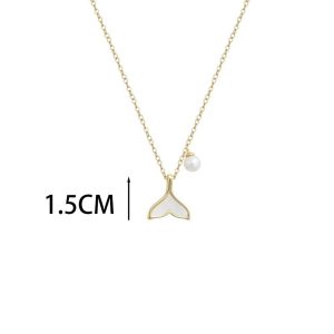 Ατσάλινο Κολιέ - ΑσημίA2002AB