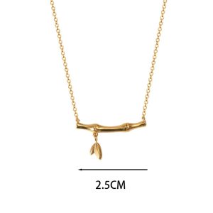 Ατσάλινο Κολιέ - ΑσημίA2010A