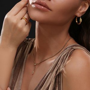 Ατσάλινο Κολιέ με Σχέδιο Φίδι και Ζιργκόν - ΧρυσόA3996A