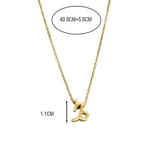 Ατσάλινο Κολιέ Με Ζώδιο (Αιγόκερως) - ΧρυσόX00128A