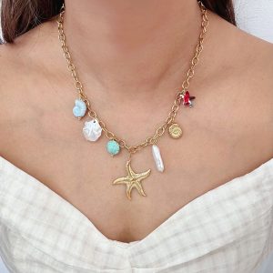 Ατσάλινο Κολιέ με Αστερία & Πολύχρωμα Θαλασσινά CharmsN69