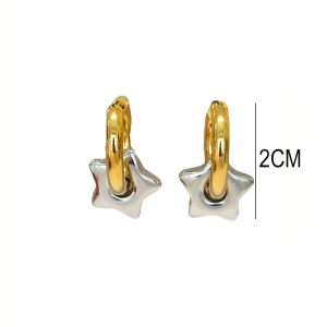 Ατσάλινα Σκουλαρίκια Με ΑστεράκιαΑ1321